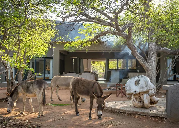 Raptors Luxury Farmhouse