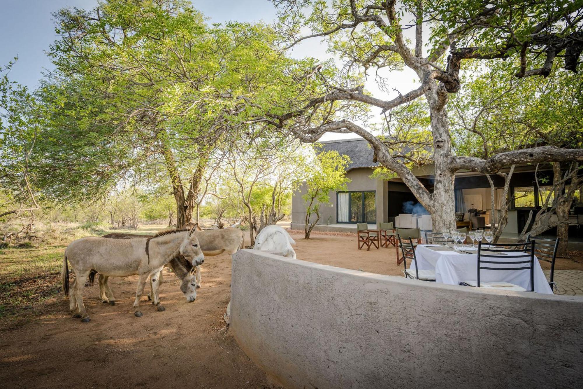 Raptors Luxury Hoedspruit